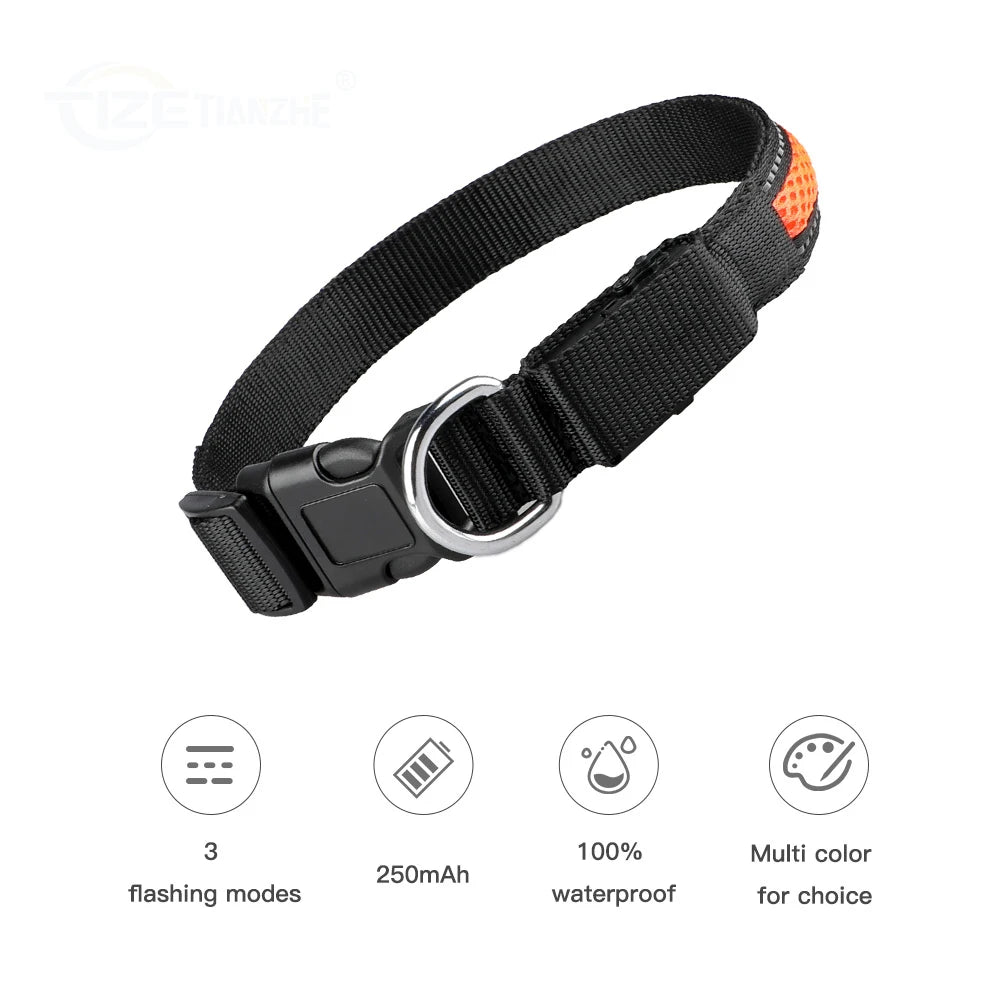 Dog Collar Luminous Pet Products Safety