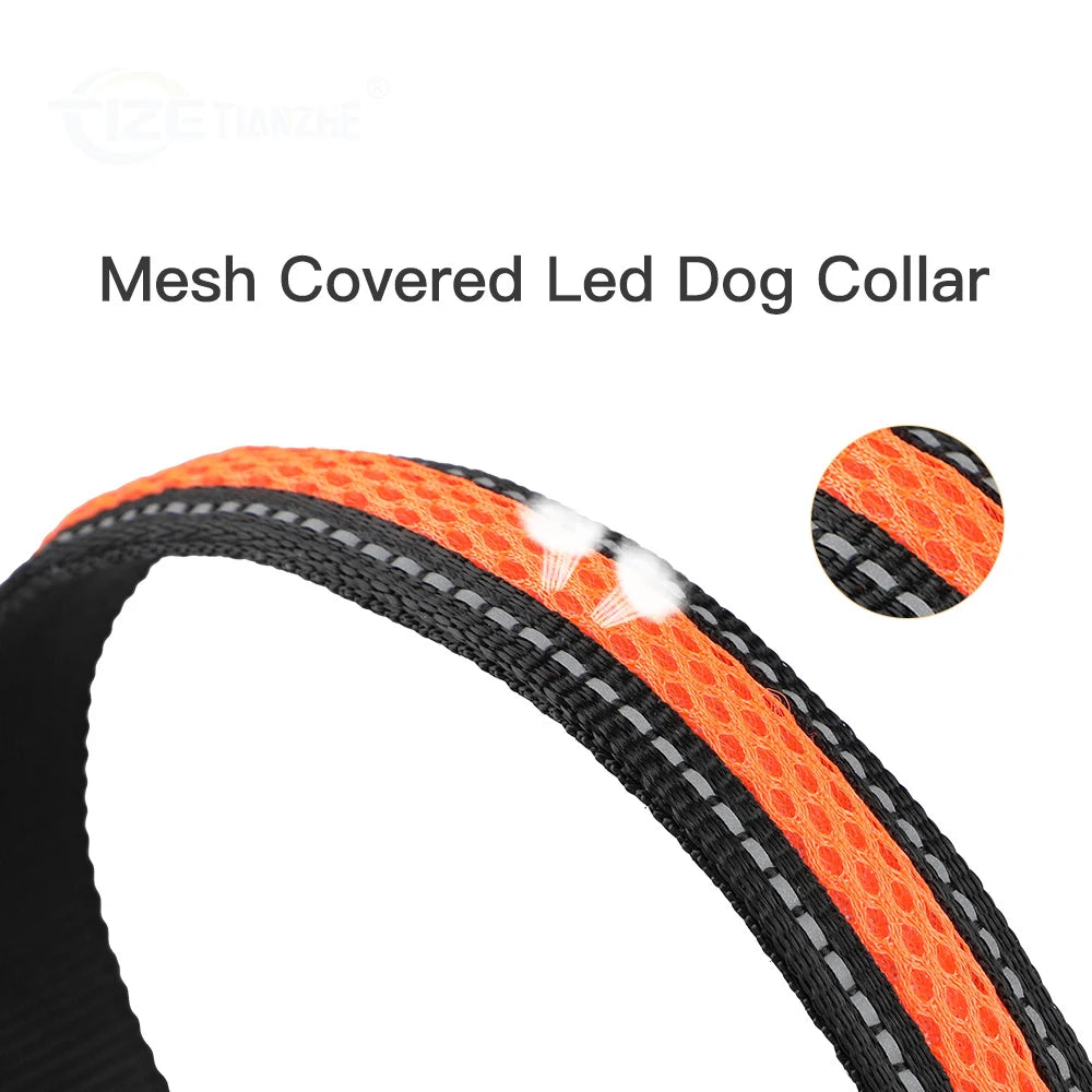 Dog Collar Luminous Pet Products Safety