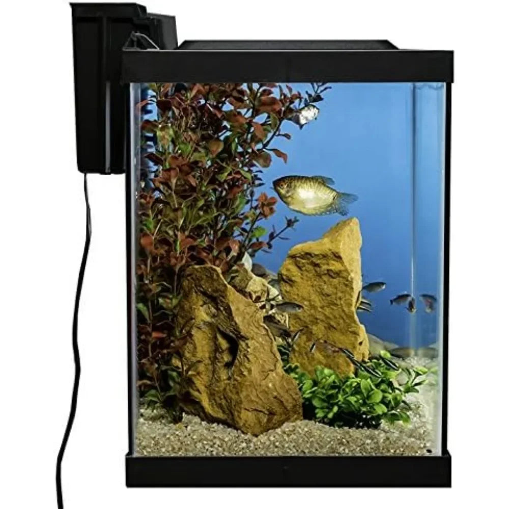 Glass Fish Aquarium