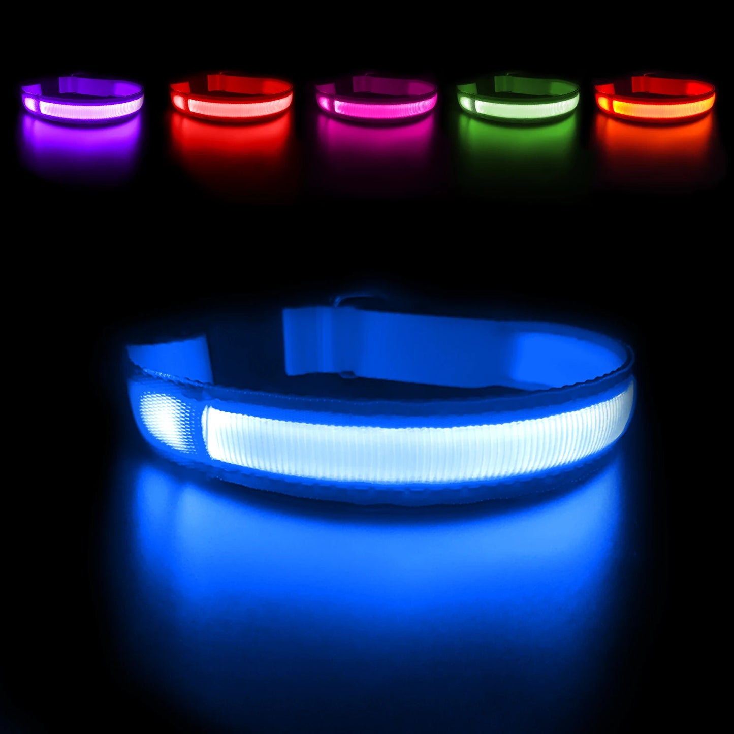 Dog Collar Luminous