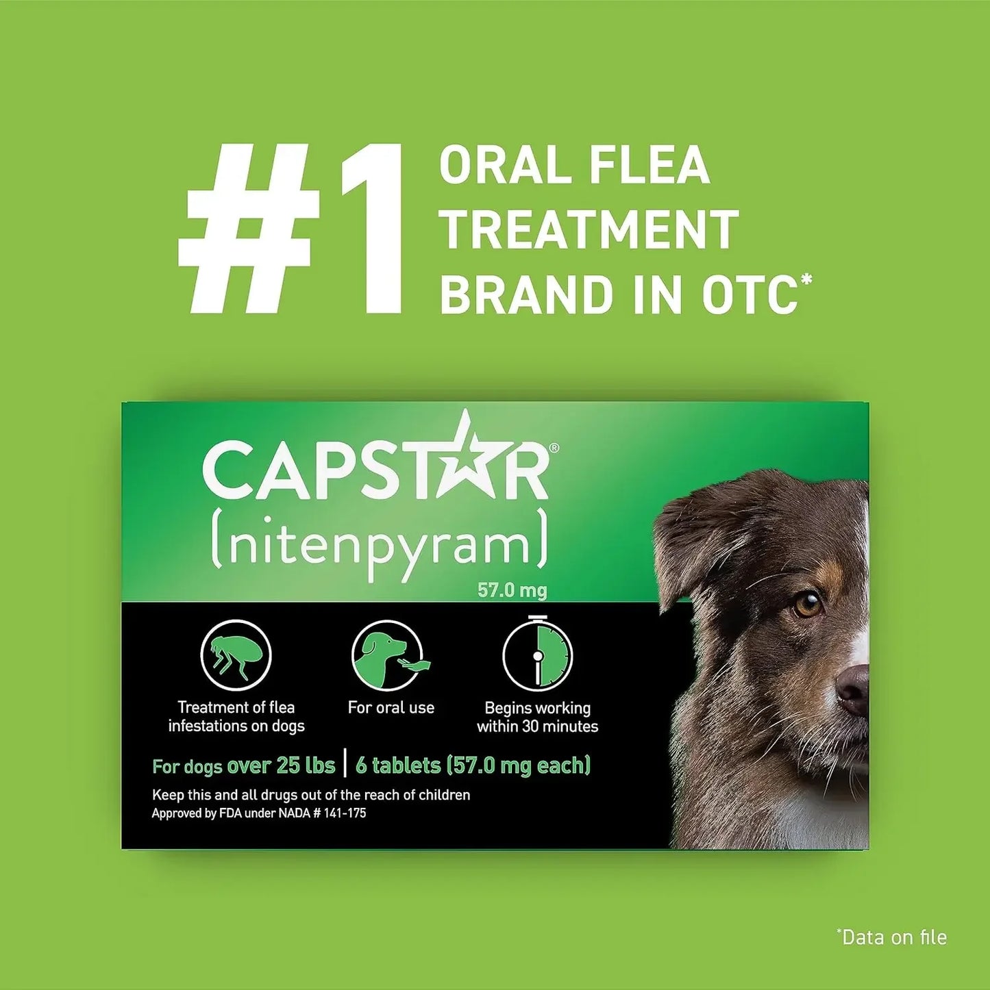 Oral Flea Treatment for Dogs