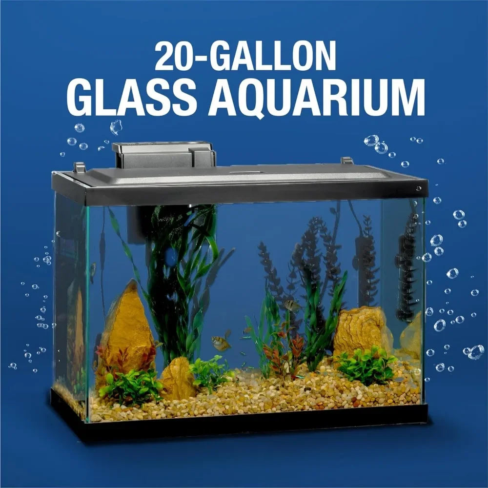 Glass Fish Aquarium