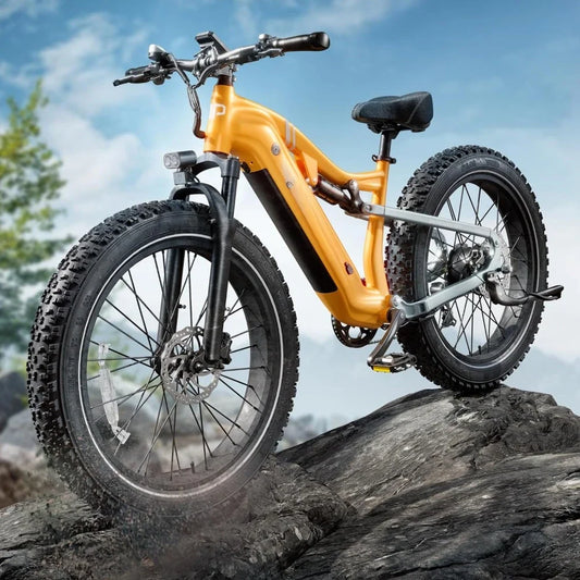 Electric Bike for