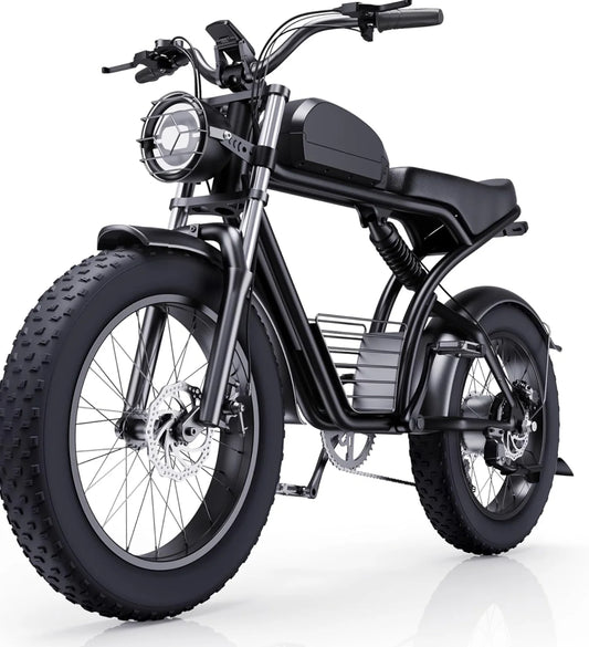 Adult 2000W electric bicycle